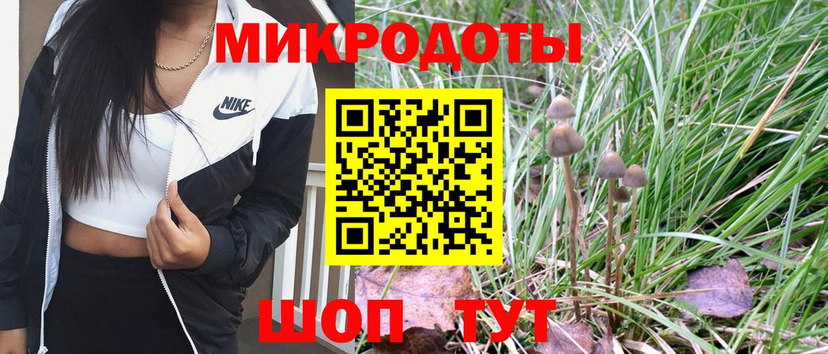Галлюциногенные грибы прущие грибы Майкоп