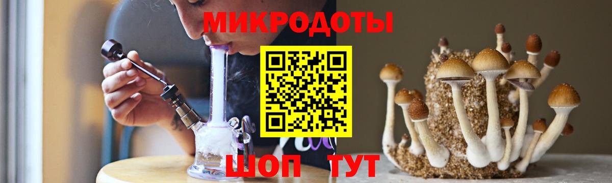 Псилоцибиновые грибы GOLDEN TEACHER  купить закладку  Галлюциногенные грибы мицелий  Майкоп  Вход с VPN 